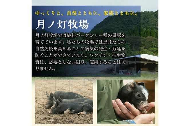 a829 月ノ灯牧場直送！保存料・添加物等不使用の鹿児島県産黒豚ソーセージとハム詰め合わせ合計600g(ソーセージ200g×2p・ハム100g×2p)完全無投薬・放牧黒豚のソーセージとハムをお届け【pig village company】