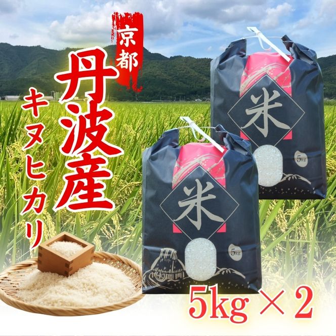 令和6年産 キヌヒカリ 10kg (5kg×2袋) 米 白米 精米 お米 こめ コメ きぬひかり 令和6年 ご飯 ごはん 京都 京都府 南丹市