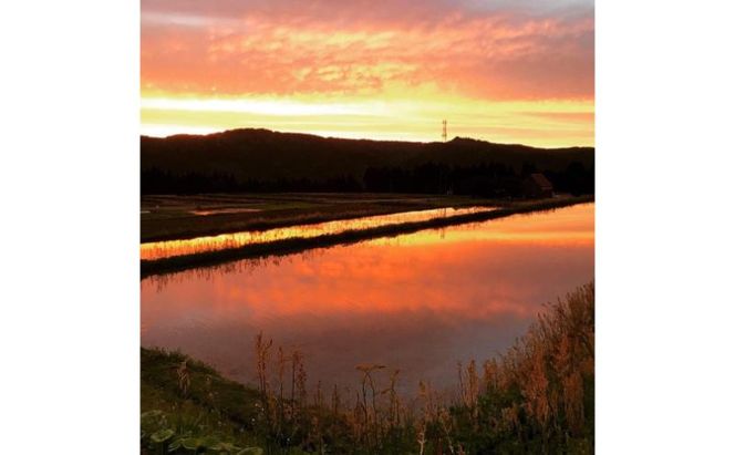 【令和7年産】 魚沼産 新之助 精米 5kg