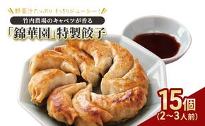 ボリューム満点 手作り冷凍餃子 15個（2～3人前）×1袋［錦華園］【 野菜 キャベツ たっぷり 厚い 手包み 手作り もちもち モチモチ 汁 町中華 中華 北海道 十勝 幕別 】