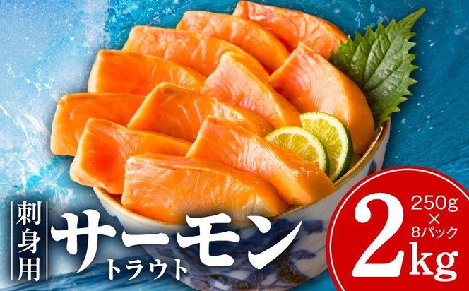 kgp0049-1 お刺身用 サーモン トラウト 2kg【小分け 約250g×8P ポーション ブロック 柵 訳あり サイズ不揃い さーもん 数量限定】