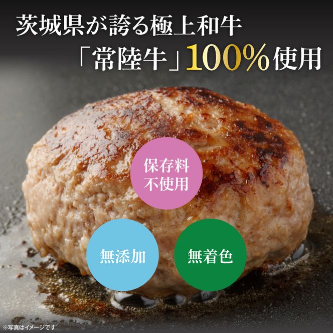 常陸牛生ハンバーグ　120g×6【牛肉100％ 和牛 真空パック 小分け 冷凍保存 ギフト お取り寄せ 無添加 北茨城市 茨城県】(AA216)