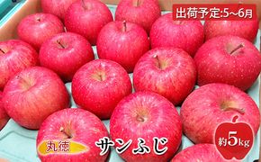 5～6月   CA貯蔵 サンふじ 約5kg【青森りんご・原正アップル・5月・6月】 果物類 林檎 リンゴ 希少 葉取らず 酸味 安心 人気 