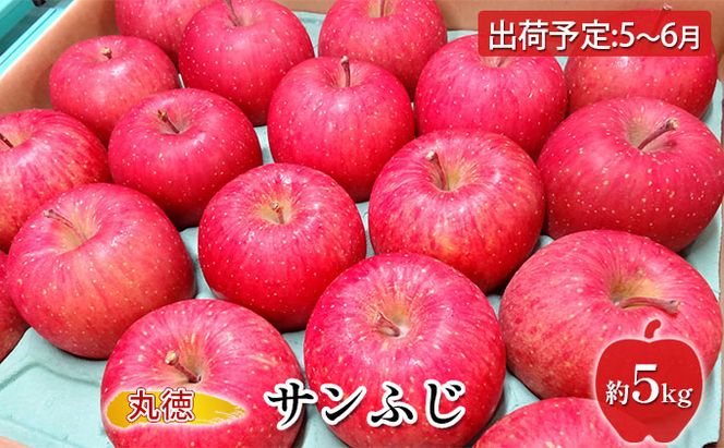 5～6月   CA貯蔵 サンふじ 約5kg【青森りんご・原正アップル・5月・6月】 果物類 林檎 リンゴ 希少 葉取らず 酸味 安心 人気 