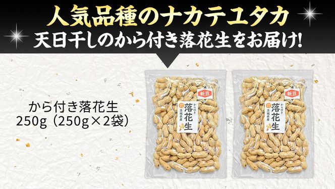 から付き落花生 500g （250g×2袋） 煎りざや落花生 おつまみ おやつ ピーナッツ 殻付き ナカテユタカ [EH21-NT]