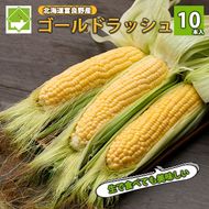 【2026年夏発送】とうもろこし ゴールドラッシュ 10本 北海道 富良野産 とうきび コーン
