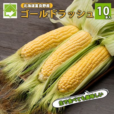 【2026年夏発送】とうもろこし ゴールドラッシュ 10本 北海道 富良野産 とうきび コーン