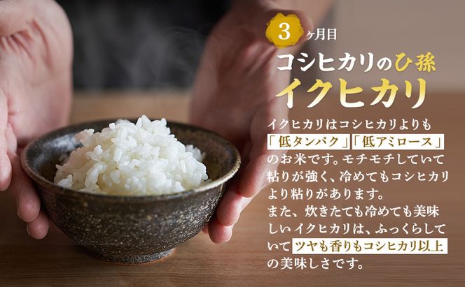 米 定期便 3ヶ月 農賊王のお宝分け 10kg 高島屋選定品 コシヒカリ こしひかり あきさかり イクヒカリ お米 おこめ こめ コメ 白米 精米 ご飯 ごはん 福井県 福井 3回 お楽しみ 