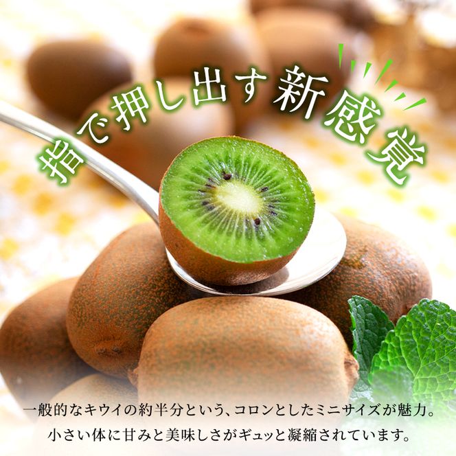 東かがわ市のちょこっと食卓応援品「キウイっこ 800g（サイズバラ）」