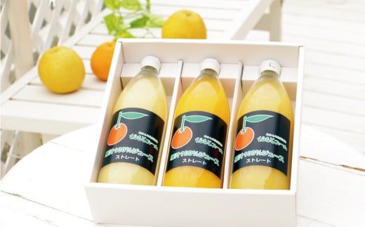みかん 果汁 100% ストレート ジュース 3本 セット （ 1000ml × 3本 ） ぽんかん はるか 河内晩柑 愛南ゴールド 10000円 1万円 数量限定 期間限定 高級 贈答 ギフト プレゼント 母の日 敬老の日 おやつ 国産 フルーツ 果物 柑橘 産地直送 農家直送 特産品 完熟 濃厚 人気 限定 甘い こどもの日 ジューシー 新鮮 果実 さわやか 愛媛県 愛南町  くらもとファーム