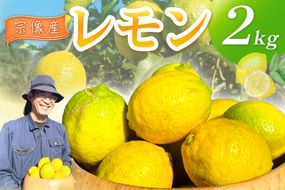 【2026年11月～5月順次発送】【先行予約】【先行受付】宗像産レモン2kg【道の駅むなかた】_HA1817
