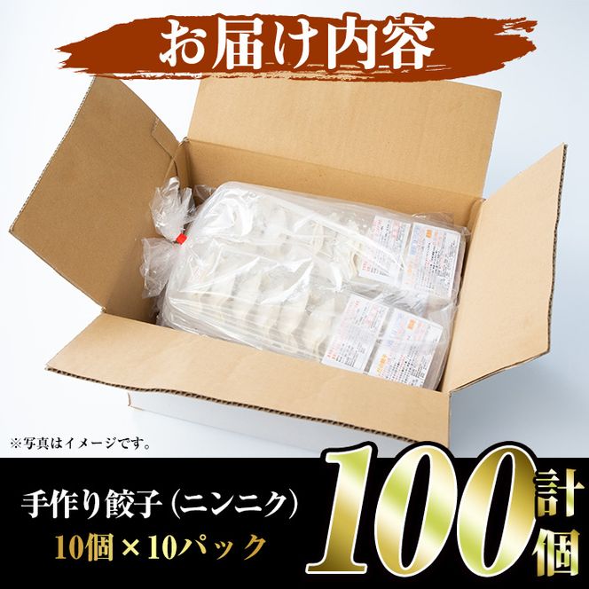 国産豚肉使用！手作りニンニク餃子(計100個・10個×10パック)国産 ギョウザ ぎょうざ お肉 にんにく おかず 惣菜 おつまみ【スーパーよしだ】akn058-06