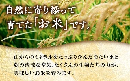 【全6回定期便】 糸島産 雷山のふもとの米 農薬不使用 5kg 糸島市 / ツバサファーム[ANI004]