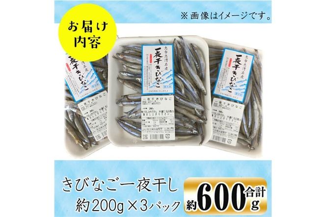 鹿児島県産 黒潮の恵み！天然物きびなご一夜干し約200g×3パック（合計約600g）a3-250