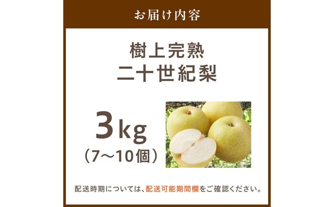 【先行予約】樹上完熟 二十世紀梨 3kg(7～10個)（2026年8月下旬～発送） 20世紀梨 梨 国産 期間限定 ふるさと納税 フルーツ ふるさと納税 なし 梨 果樹園直送 生産者応援 農家応援　BF00023