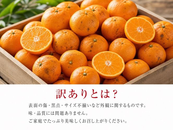 ［ご家庭用訳あり］有田みかん10kg 2S〜2Lサイズ混合 AN071