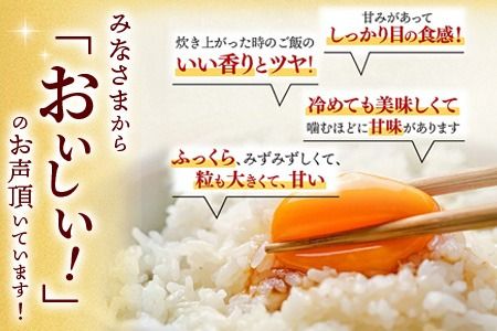 【令和7年産 新米】さがびより 精米 10kg【特A受賞米 米 5kg×2袋 お米 コメ こめ 国産 美味しい ブランド米 人気 ランキング 増田米穀】(H015198)
