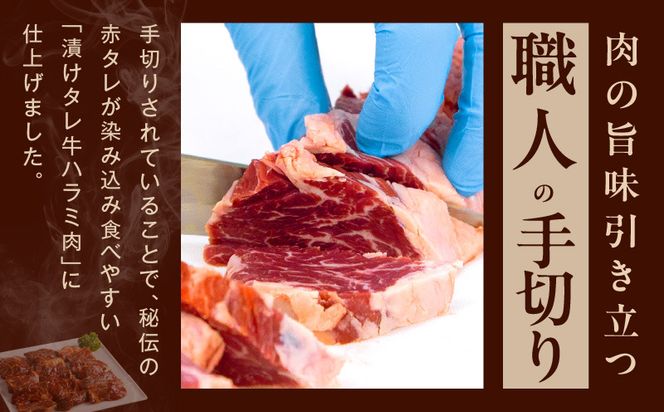 099Z269 牛ハラミ 定期便 1.2kg 全3回 タレ漬け 牛肉 小分け 300g×4【毎月配送コース】