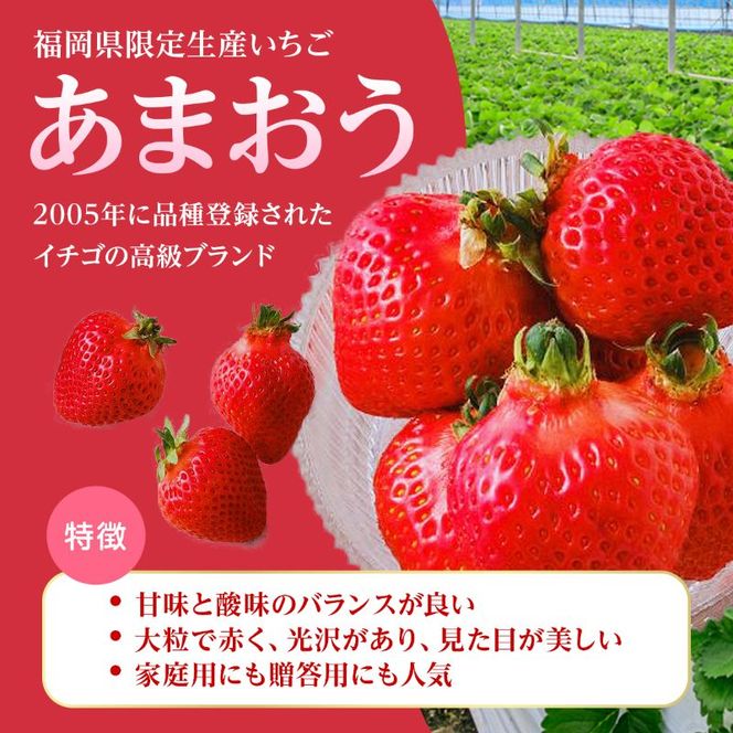 いちご 2026年2月より発送 うるう農園のあまおう大福キット(あまおう1パック＋大福6個セット) 果物 和菓子 生菓子 苺大福 フルーツ 和スイーツ 特別栽培 福岡県産 おやつ ※配送不可：離島