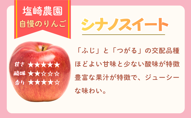 【先行予約丨2026年10月中旬より順次発送】訳あり シナノスイート【約5kg (11〜20玉)】(At-021)丨長野県 飯山市 おすすめ ランキング おいしい 高評価 大人気 先取り 産地直送 りんご 訳あり 規格外