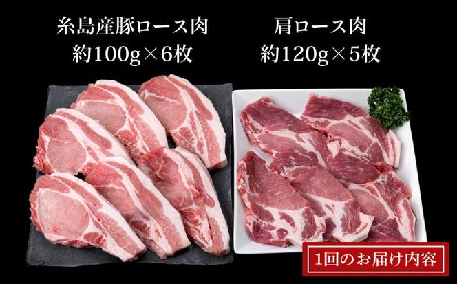 【全3回定期便】糸島産豚ロース肉6枚 肩ロースカツ5枚 合計11枚セット《糸島》【糸島ミートデリ工房】 [ACA229]