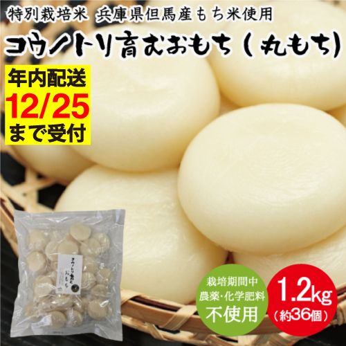 yɌLszʍ͔| ɌAnY REmgނiۖ݁j_Ew엿sgp 2 1.2kgi36j / Y ؂  _ w엿sgp AnY Ysgp 퉷ۑ Y    ܂  Ă G  p