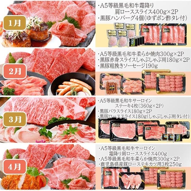 お肉の定期便(12回)枕崎お楽しみ便(A5等級黒毛和牛・黒豚・黒豚加工品etc) KK-6003 【1166746】