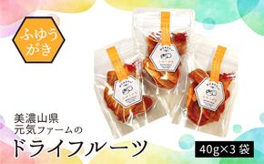 美濃山県元気ファームのドライフルーツかじゅえりー　ふゆうがき  [No.1100]