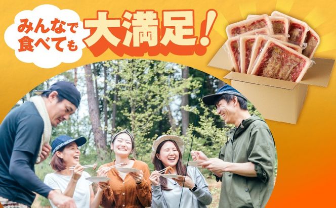 099Z432 【定期便】ねぎ塩 牛たん（成型）合計 1kg 小分け 250g×4【牛タン 牛肉 焼肉用 薄切り 訳あり サイズ不揃い 2026年2月＆5月発送 全2回】