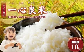 【令和7年産】 真庭市産コシヒカリ 米ぬか 牡蠣栽培米 『 一心良米 』白米 10kg (5kg×2袋） / お米 いっしんりょうまい 岡山県 こしひかり 人気 ブランド 2025年産 【tkns010-01-cho】