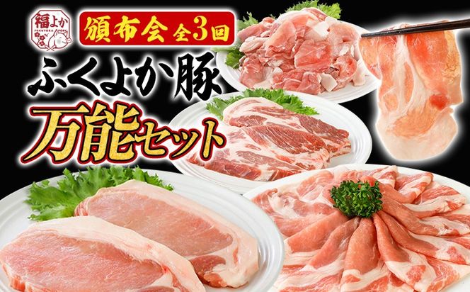 ycszyЕzzؓ ؂藎Ƃ Ԃ Xe[L ӂ悩 \Zbg  [X [X o  q  u^ Ԃ Ⓚ   B O 