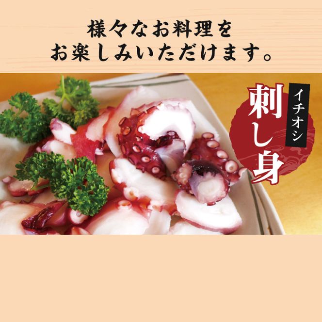 鹿島だこ【たこ タコ 蛸 海鮮 新鮮 魚貝 地たこ 刺身 鹿島灘 鹿嶋市 茨城県 20000円以内 2万円以内】（KM-9）
