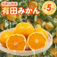 ZN6007n_【2026年先行予約】こだわりの和歌山県産 有田みかん 5kg ひとつひとつ手選別で厳選！生産者から直送