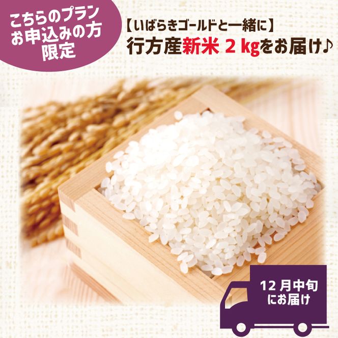 【早割B1プラン】2026年度おいも株オーナー制度 1口｜さつまいも 芋 サツマイモ お芋 おいも株 株 オーナー いばらきゴールド 米 お米 らぽっぽファーム 体験 農園 茨城県 行方市(CQ-6-1)