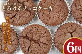 とろけるチョコケーキ【チョコレート 生チョコ 濃厚 おやつ プレゼント】(CK203)