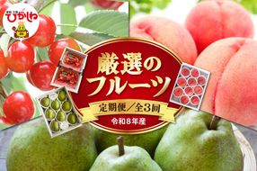 【2026年 先行予約 3回定期便】令和8年6月発送開始 東根市 厳選のフルーツ！ 東根市旬のフルーツ定期便 山形県 東根市 hi104-007