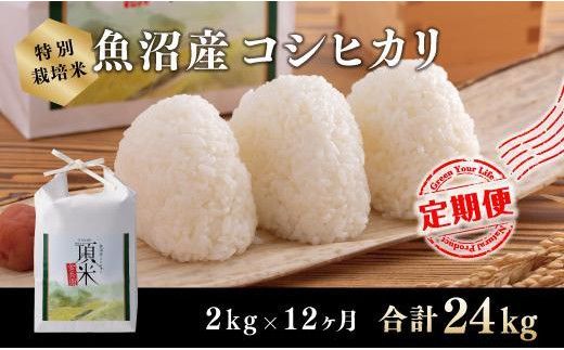 12カ月定期便【特別栽培米】頂米金兵衛 魚沼産コシヒカリ（精米）2kg お米 コメ 