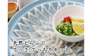 天然とらふぐ てっさ てっちりセット【マルケイ水産】_HA2008 フグ ふぐ トラフグ とらふぐ 天然 てっさ てっちり 刺身 鍋 福岡県宗像市 宗像市 福岡 宗像