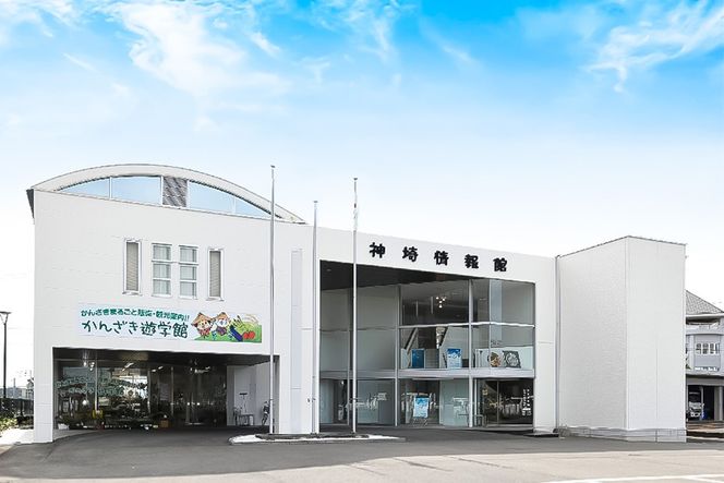 脊振ジビエ 鍋物・カレー用イノシシ肉 約1kg【脊振 ジビエ イノシシ肉 鍋 カレー】(H059120)