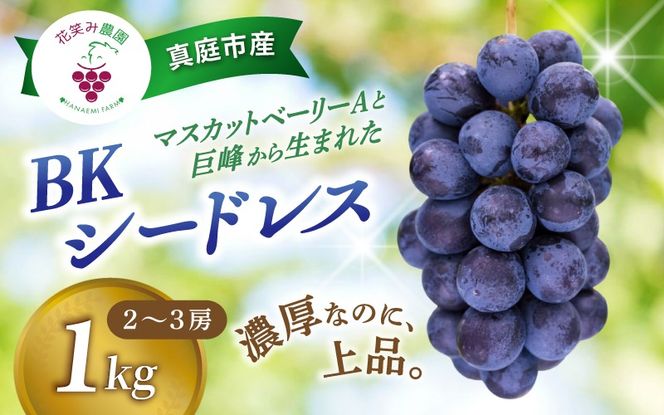 【2026年先行予約】ぶどう 岡山 花笑み農園の『BKシードレス』1kg（2～3房） 1kg 贈答用 濃厚 ぶどう 2026年9月中旬～ 受付順に発送予定 【hana027-03】