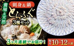 【3回定期便】南島原ふぐ三昧プレミアム 10人〜12人前 / ふぐ フグ 河豚 トラフグ ふぐ刺し / 南島原市 / 大和庵[SCJ033]