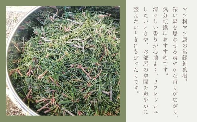 HV003 アカマツ精油 | アカマツ 精油 天然由来 香り 森林浴