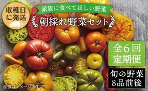 【 全6回 定期便 】 【 福岡県 糸島産 】 朝採れ 野菜 セット ( 8品 前後 )  《糸島》【オーガニックナガミツファーム】 	[AGE009]