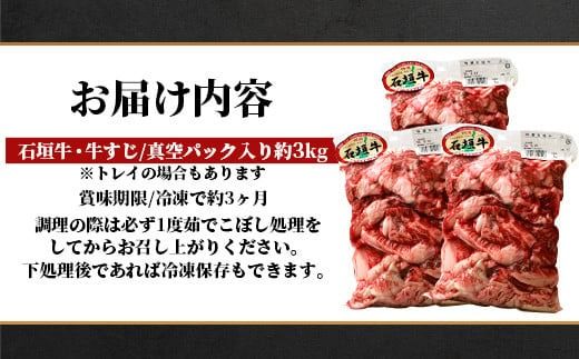 石垣牛・牛すじ 3kg (1kg×3) 冷凍便 | 沖縄県 石垣市 牛肉 お肉 牛スジ 牛筋 煮込み おでん カレー SI-086