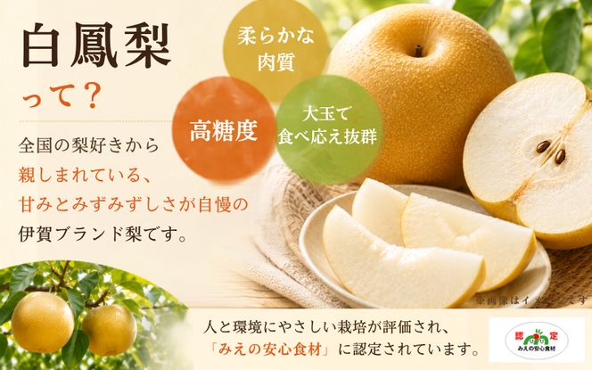 白鳳梨(幸水) 3L 14玉 ※お届けは8月中旬以降の予定です【hkns0003】