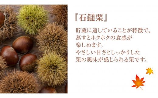 《 先行予約 》 栗 2kg （ 1kg × 2袋 ） 茨城県産 貯蔵 石鎚栗 生栗 くり クリ マロン 栗ご飯 栗ごはん 果物 フルーツ 冬 正月 おせち いしづち JA全農いばらき JA