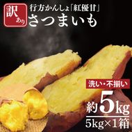 【2026年12月より順次発送】【訳あり】行方かんしょ「紅優甘」さつまいも約5kg(洗い・不揃い)｜さつまいも サツマイモ さつま芋 お芋 紅優甘 行方かんしょ 訳あり わけあり 訳アリ 茨城県 行方市(AE-94)