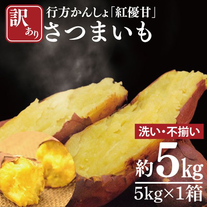 【2026年12月より順次発送】【訳あり】行方かんしょ「紅優甘」さつまいも約5kg(洗い・不揃い)｜さつまいも サツマイモ さつま芋 お芋 紅優甘 行方かんしょ 訳あり わけあり 訳アリ 茨城県 行方市(AE-94)