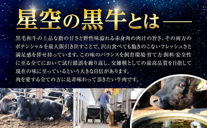 北海道産星空の黒牛 厳選5種BBQセット1kg【 肉 にく ニク 牛肉 牛肉赤身 赤身 牛肉セット バーベキュー 冷凍牛肉 贅沢牛肉 国産牛肉 北海道産牛肉 道産牛肉 簡単 お手軽 特製牛肉 標茶町 北海道 】 016641_AD045