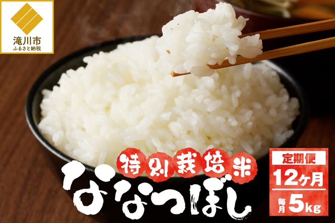 《令和7年産》特別栽培米ななつぼし 5kg×12ヵ月定期便 | 16年連続特A ブランド米 白米 精米 米 お米 こめ 減農薬 単一原料米 ご飯 北海道米 北海道 滝川市